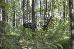 следы отдыха - аллюминиевые банки