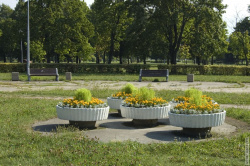 клумба вдоль Бестужевской улицы