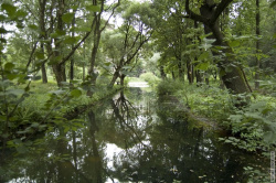 канал от сердобольского пруда