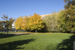 газон со стороны Выборгской набережной