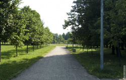 главная аллея Пионерского парка