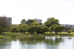 берега Полюстровского пруда