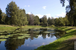 вид на Серебряный пруд