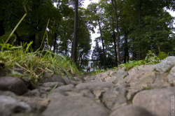 водосточный желоб