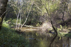 река Старожиловка