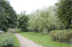 Аллея вдоль пруда