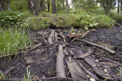 дорожка к искуственному острову, Иорданский пруд