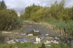 мусорка в русле Муринского ручья