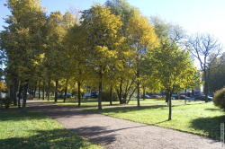 центральая аллея